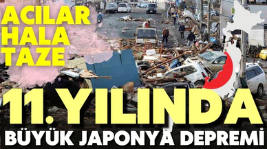 11. yılında büyük Japonya depremi
