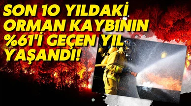 Orman yangınlarında son 10 yılın bilançosu: %61'i geçen yıl yandı!