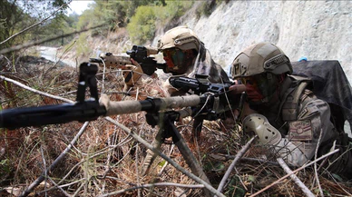Barış Pınarı bölgesinde 10 PKK/YPG'li terörist etkisiz hale getirildi