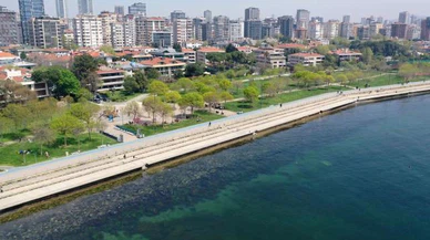 Marmara Denizi'nde müsilaja rastlanmadı