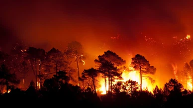 ABD’nin New Mexico eyaletinde orman yangınları sürüyor