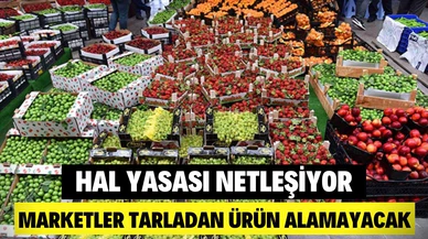 Hal yasasında detaylar netleşiyor; zincir marketler tarladan ürün alamayacak