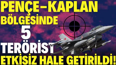 Pençe-Kaplan bölgesinde PKK'lı 5 terörist etkisiz hale getirildi