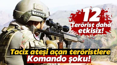 Taciz ateşi açan teröristlere ağır darbe!