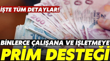 Binlerce işletmeye prim desteği sürüyor