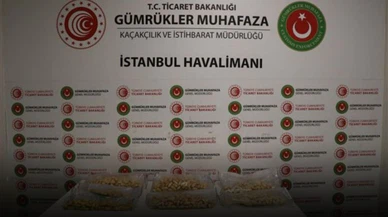 İstanbul Havalimanı'nda kokain yakalandı