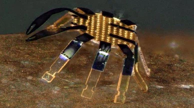ABD'de dünyanın en küçük robotu icat edildi