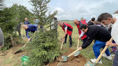 Türkiye Çevre Haftası etkinlikleri kapsamında Beykoz'da fidan dikildi