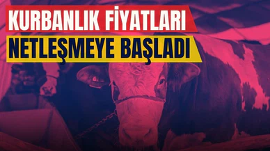 Kurbanlık fiyatları belli oldu