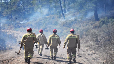 Muğla'daki orman yangını söndürüldü