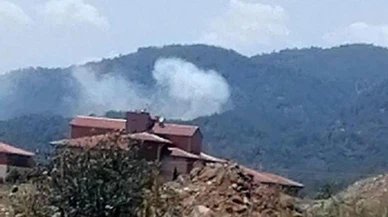 Köyceğiz'deki orman yangını kontrol altına alındı