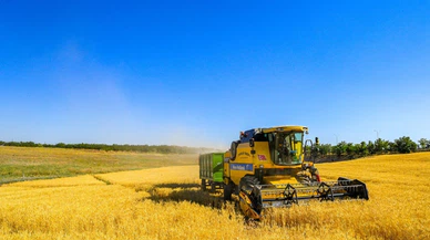 TMO Genel Müdürü Ahmet Güldal'dan hububat hasadı değerlendirmesi: