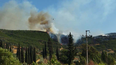 Aydın'da çıkan orman yangınına müdahale ediliyor