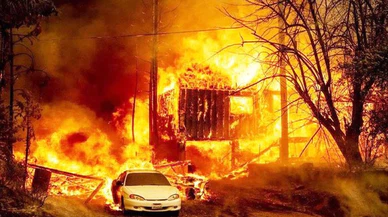 California'da süren orman yangınlarında 6 bin 300 hektar alan zarar gördü