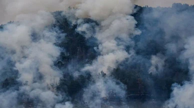 Almanya’daki orman yangınlarına helikopterlerle müdahale ediliyor