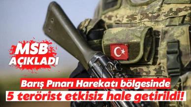 5 PKK/YPG'li terörist etkisiz hale getirildi