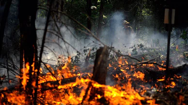 ABD'deki yangınlar ve fırtına endişe kaynağı olmayı sürdürüyor