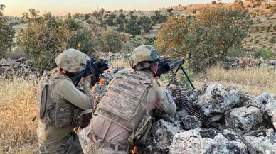 Bingöl'de 3 milyon 329 bin kök kenevir yakalandı