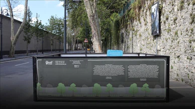 İBB'nin kestiği ağaçlarla ilgili rapor yayımlandı!