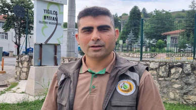 Balın dozunu kaçırdığı için bitkin düşen ayının tedavisi sürüyor