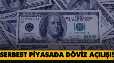 Serbest piyasada döviz açılış fiyatları