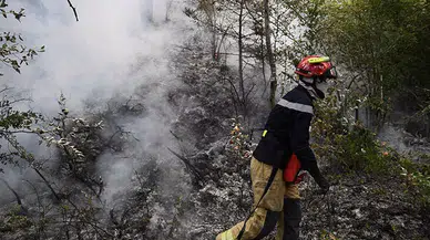 Fransa’da orman yangınları sürüyor