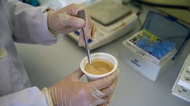 Türkiye'nin ilk yerli ve milli arı probiyotiği üretildi