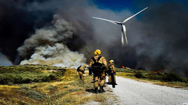 Portekiz'de 10 gündür süren orman yangınlarında 17 bin hektarlık alan yandı