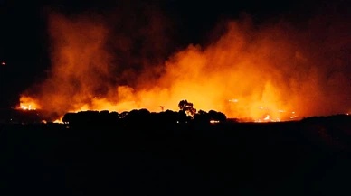 Aydın'da ormanlık alanda çıkan yangına müdahale ediliyor