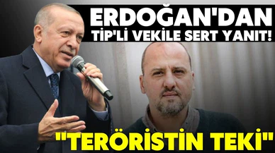 Cumhurbaşkanı Erdoğan'dan TİP'li vekile sert yanıt!