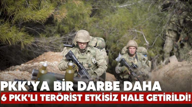 PKK'ya bir darbe daha! 6 PKK'lı terörist etkisiz hale getirildi!
