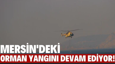 Mersin'deki orman yangınına müdahale sürüyor!