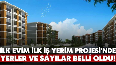 Yerler ve sayıları belli oldu!
