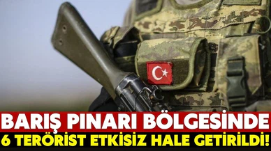 6 PKK/YPG'li terörist etkisiz hale getirildi!