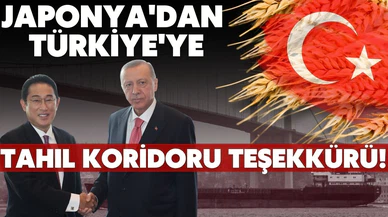 Japonya'dan, Türkiye'ye "tahıl koridoru" teşekkürü