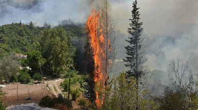 Antalya'nın Kumluca ilçesinde orman yangını çıktı