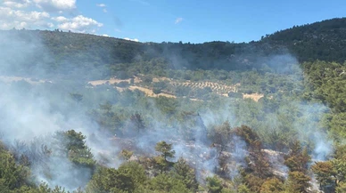 Bergama'daki orman yangını kontrol altına alındı