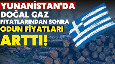 Yunanistan'da doğal gaz fiyatlarından sonra odun fiyatları yükseldi!