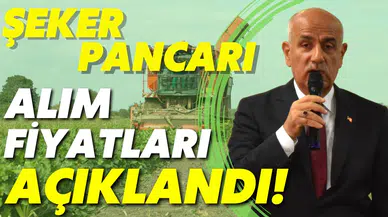 Şeker pancarı alım fiyatları açıklandı