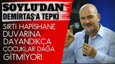 İçişleri Bakanı Soylu'dan, Demirtaş'ın paylaşımına tepki