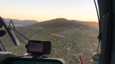 Adana'da ormanlık alanda çıkan yangın kontrol altına alındı!