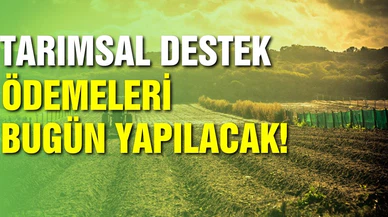 Bakan Kirişci: 1.6 milyar lirayı çiftçilerin hesabına aktarıyoruz