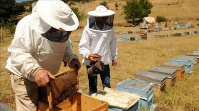 Bingöl balı coğrafi işaretle tescillendi!