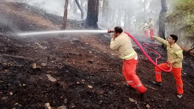 Antalya'da çıkan orman yangını kontrol altına alındı!
