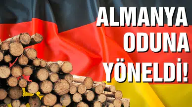 Almanlar evlerini ısıtmak için oduna yöneliyor