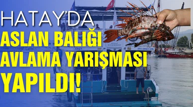 Hatay'da aslan balığı avlama yarışması yapıldı!
