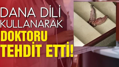 "Dana dili" ile doktoru tehdit eden şüpheliye dava