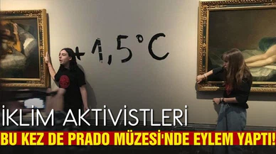 İklim aktivistleri bu kez Madrid'deki Prado Müzesi'nde eylem yaptı!