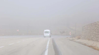 Van ile Muş'ta kar ve sis etkili oldu!