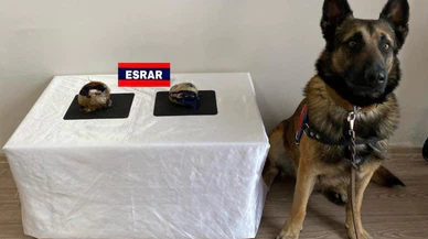 Bolu'da cips kutusunda esrar ele geçirildi